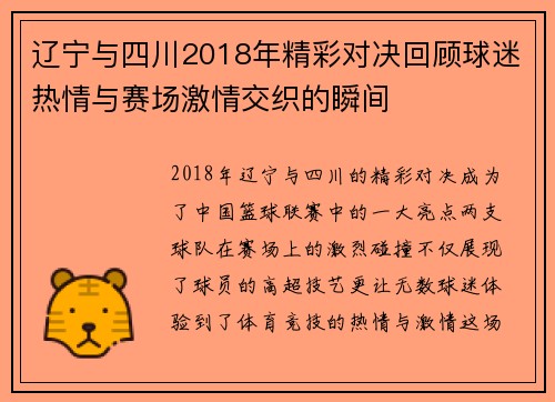 辽宁与四川2018年精彩对决回顾球迷热情与赛场激情交织的瞬间