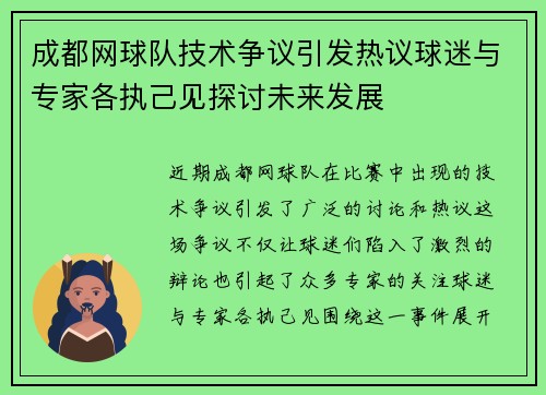 成都网球队技术争议引发热议球迷与专家各执己见探讨未来发展