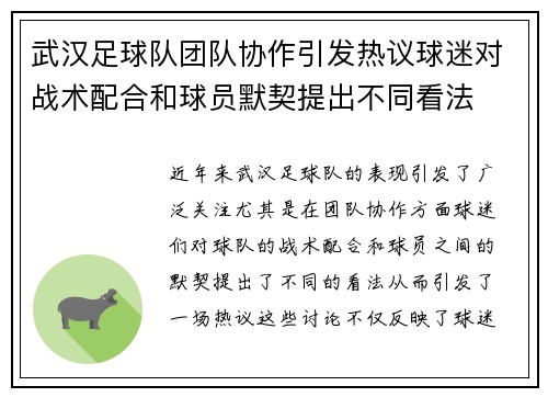 武汉足球队团队协作引发热议球迷对战术配合和球员默契提出不同看法